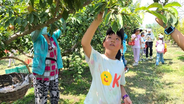 夜游植物园、办“刺猬小吃店” 北京市少年宫夏令营“花式”开营