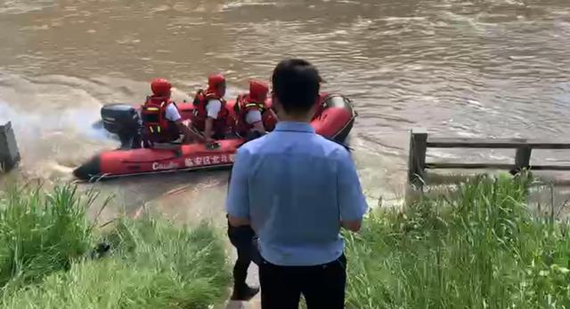 河水暴涨三头小水牛被围困！民警和救援队出动橡皮艇上演“救牛记”