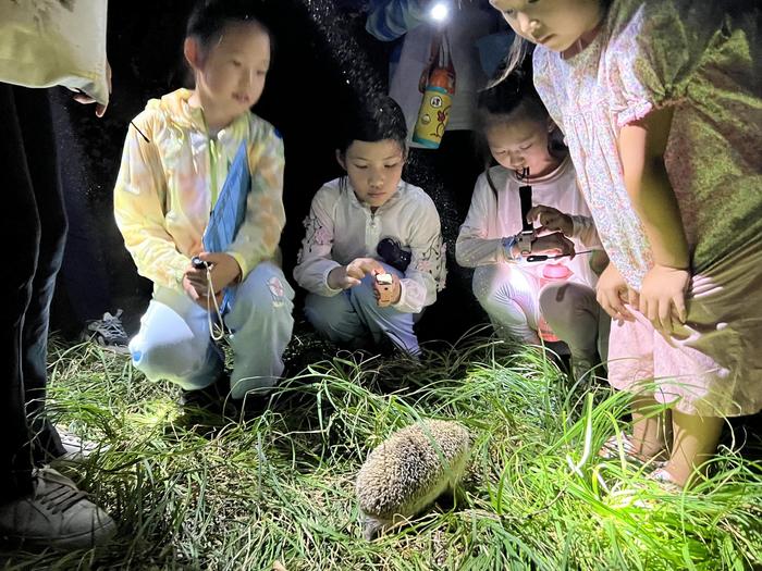 夜游植物园、办“刺猬小吃店” 北京市少年宫夏令营“花式”开营