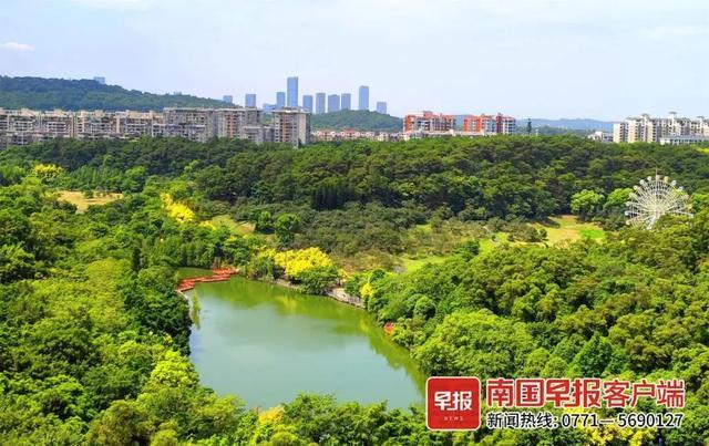 ​台风“泰利”将登陆，广西明起有强风暴雨！