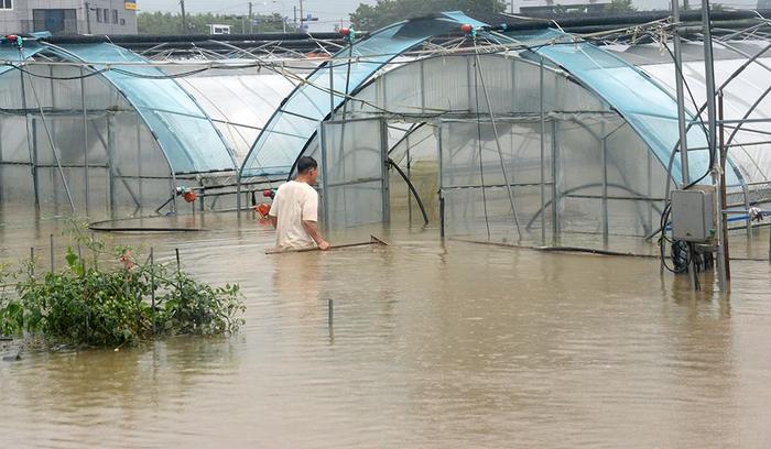 早安·世界｜韩国暴雨已致24人死亡10人失踪，逾千人撤离