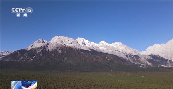 黄喉雉鹑、豹猫还有黄喉貂！多种国家保护动物“亮相”玉龙雪山