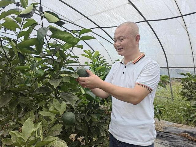 赵青毅：根植沃土育繁华 绿色果蔬助力乡村振兴