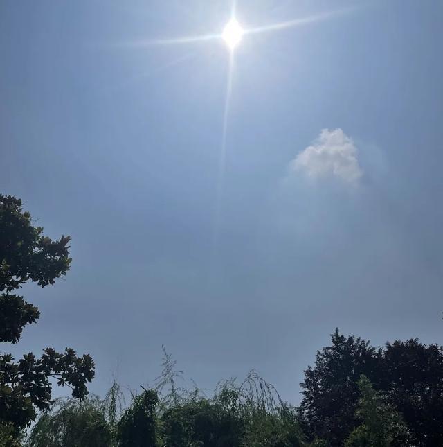 出门带伞，今天下午起河南多地有雨