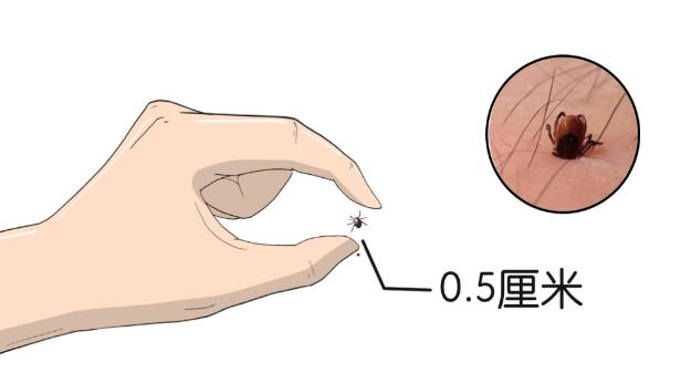 新闻多一度丨北方蚊子被热得不想叮人了，你今年挨咬了吗？