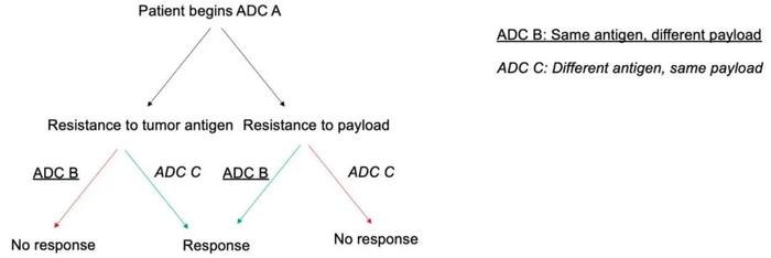 一文解析ADC药物耐药机制有哪些
