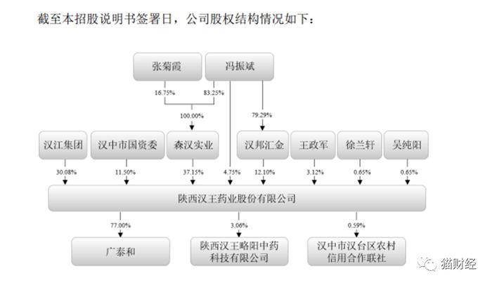 汉王药业IPO折戟，“学术推广”巨额开发费之谜石沉大海，背后“华邦系”高比例参股