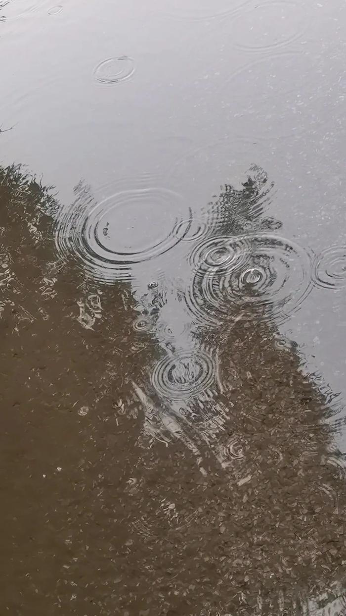 暴雨、雷暴、冰雹来了！陕西最新发布！西安的雨啥时到？