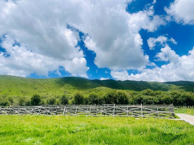 我们的家园｜四川红原：打造特色现代农业园区 助力乡村振兴