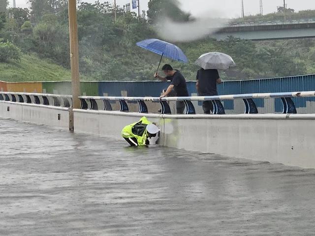 直击｜重庆城区降大暴雨，115个雨量站超过20毫米