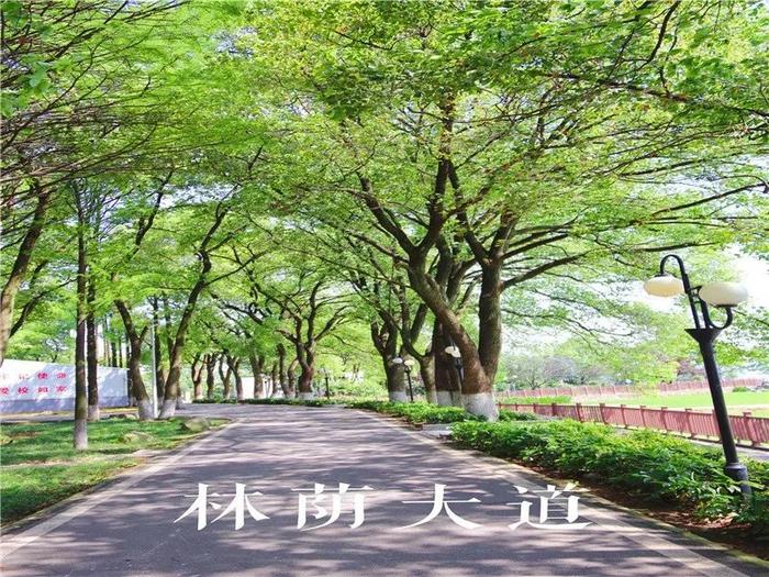 湖北铁道运输职业学院(武汉铁路技师学院)宁波地铁“订单班”招生开始啦…