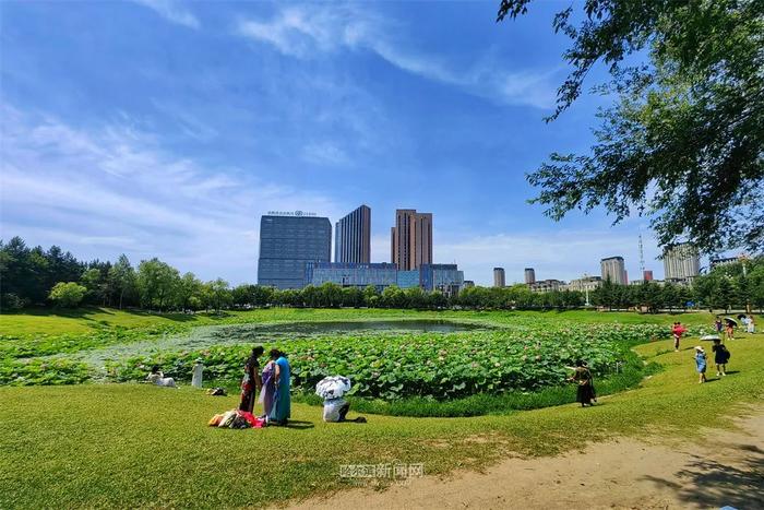 新一轮降雨来袭！丨22日至24日哈市有中到大雨、局部暴雨，应急管理部门提醒