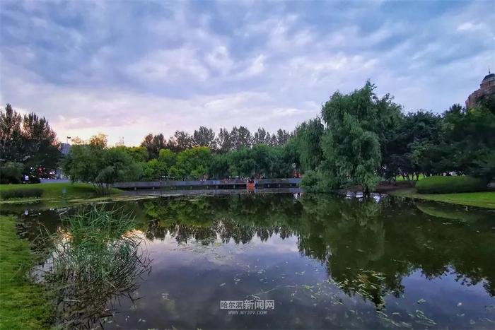 新一轮降雨来袭！丨22日至24日哈市有中到大雨、局部暴雨，应急管理部门提醒