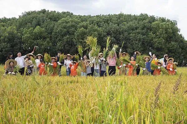 国家级推荐！长三角夏季“村”游路线上新，还不快来打卡？