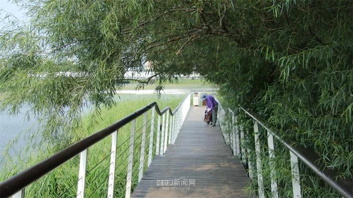 新一轮降雨来袭！丨22日至24日哈市有中到大雨、局部暴雨，应急管理部门提醒