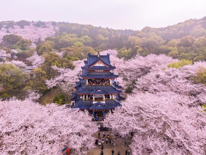 霞客行之江山多娇 | “源”来如此！再启长江溯源之旅