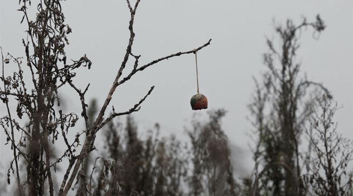 一周观展指南｜读“摩登巴黎”的蓬勃与清华学人的手札