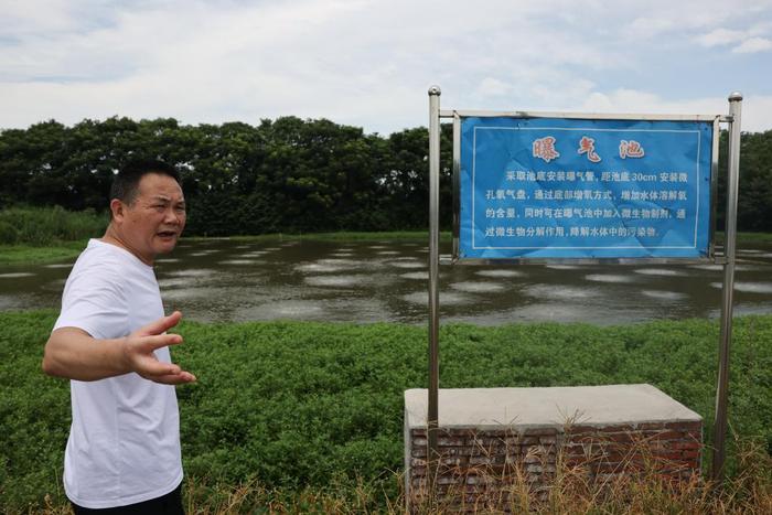 新时代中国调研行·长江篇丨长江行|守护“长江之肾”的“洞庭麻雀”