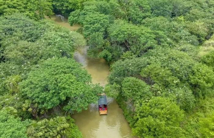 带娃好去处！浙江新增19个国家级自然教育基地（学校）