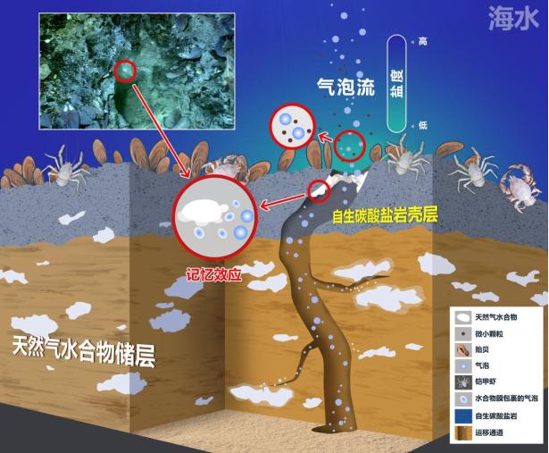 深海冷泉水合物快速形成动力学机制揭示