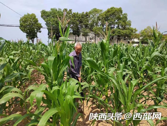 家站点里的人大·代表故事丨汉中城固县文川镇：修渠填地 把好事办到群众心坎上