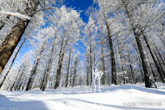 文旅融合，四季皆美！阿尔山，让人看不够！