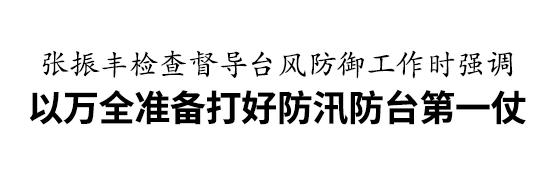 张振丰检查督导台风防御工作：以万全准备打好今年防汛防台第一仗