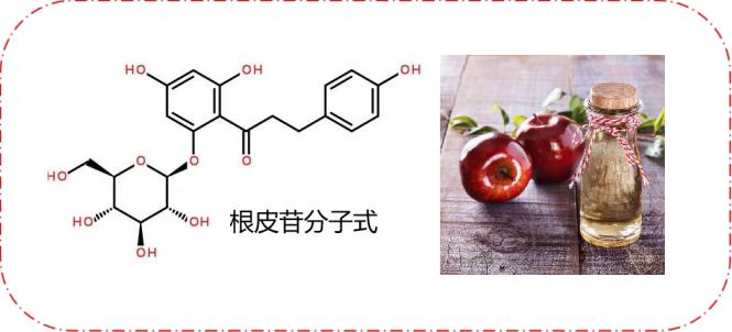 始于排糖，益于心肾丨一棵苹果树引发的糖心肾治疗革命