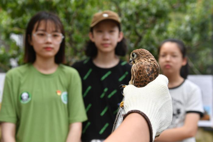 青岛：生态科普 乐享暑假