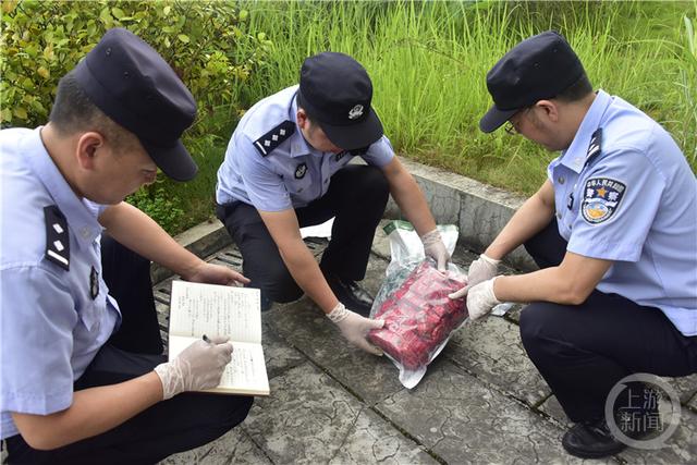 重庆市人大常委会表决通过一批人事任免事项丨重庆上半年就业、社保怎么样？最新发布