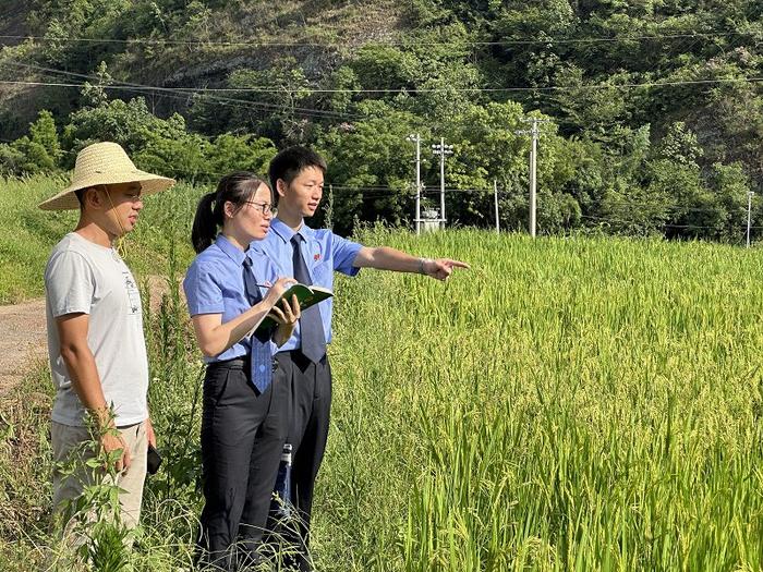图片新闻|江西赣州章贡：对耕地保护情况进行“回头看”活动