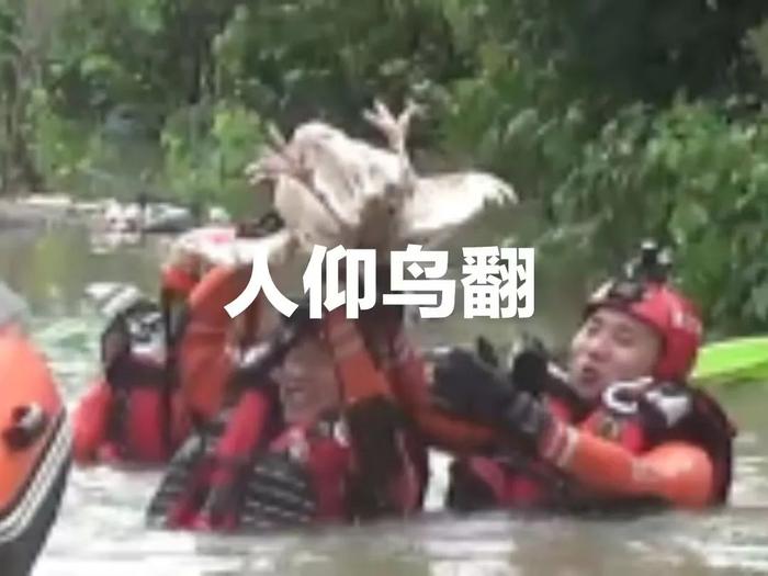 “杜苏芮”上岸，临海一景区动物园遭殃，鸵鸟、火鸡、孔雀 …它们怎么办啊！最后还有“卡努”的消息