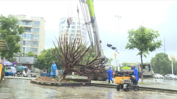 “杜苏芮”上岸，临海一景区动物园遭殃，鸵鸟、火鸡、孔雀 …它们怎么办啊！最后还有“卡努”的消息