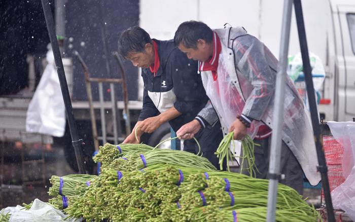 雨中新发地交易正常，今日北京蔬菜供应量超过2万吨