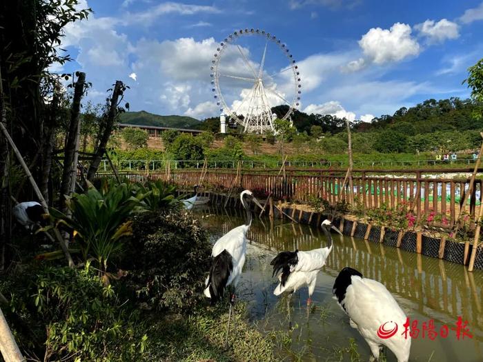 兴 · 揭阳 | 望天湖生态旅游度假区