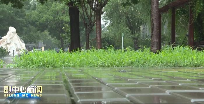 城市副中心接连暴雨 “海绵”吸水作用突显