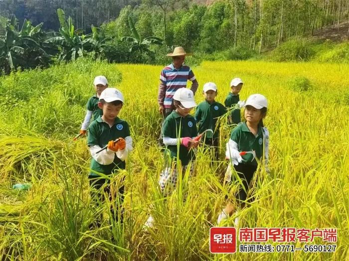 正在招募！@南宁家长，事关孩子暑假作业，赶紧看！