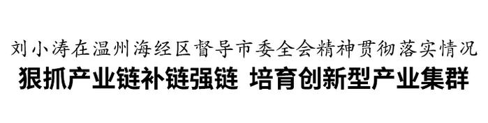 刘小涛在温州海经区督导市委全会精神贯彻落实情况