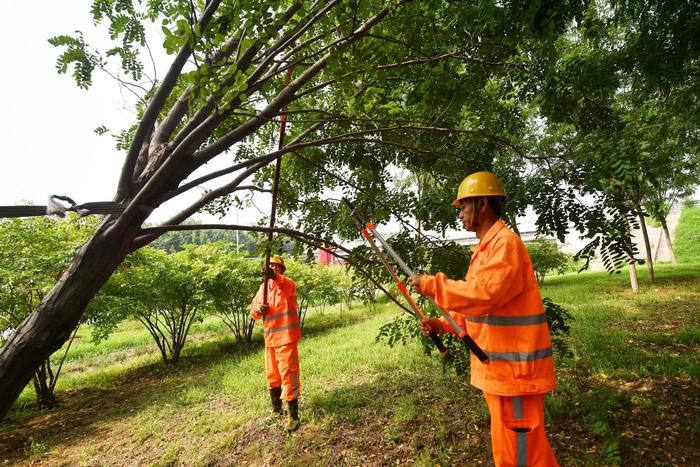 暴雨后高速公路绿化带树木倒伏、岩体滑坡，养护部门正抓紧修复