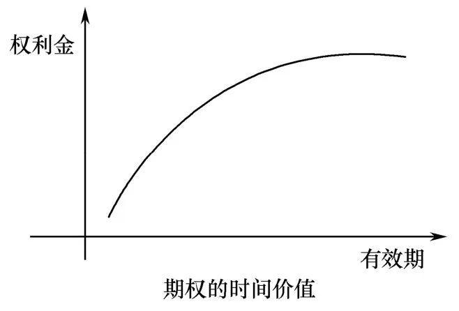 期权入门：如何理解和利用期权的价值和状态