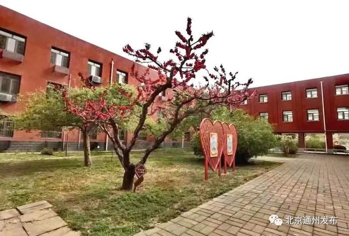 北京市十一学校通州实验学校落户副中心！将招收首批160名一年级新生