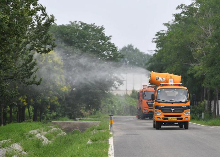 暴雨后高速公路绿化带树木倒伏、岩体滑坡，养护部门正抓紧修复