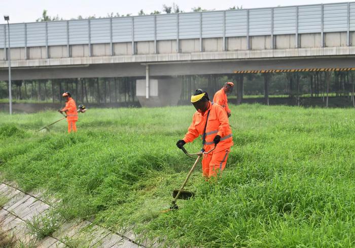 暴雨后高速公路绿化带树木倒伏、岩体滑坡，养护部门正抓紧修复