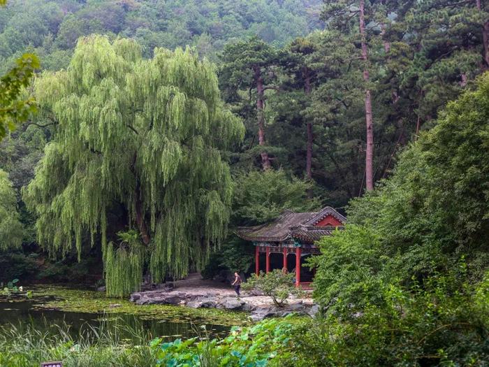 立秋｜未觉三夏尽 时序已新秋