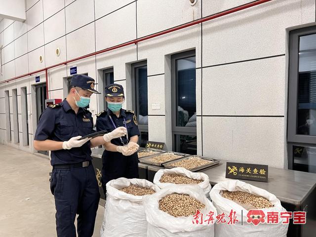 南宁机场口岸首次开展药食同源中药材进口业务