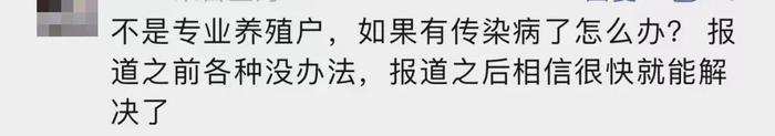 上海有人在自家后院养了20头猪！气味上头，邻居崩溃……