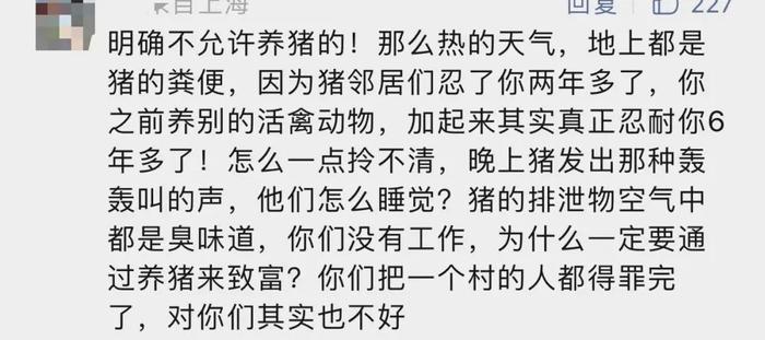 上海有人在自家后院养了20头猪！气味上头，邻居崩溃……