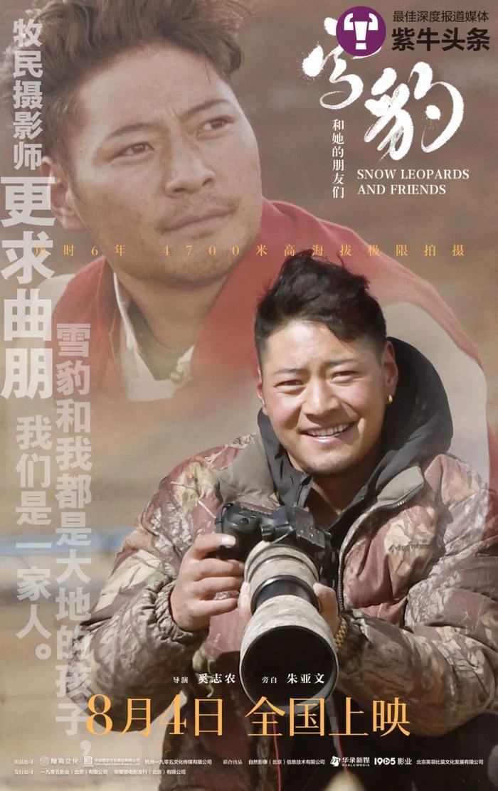 【紫牛头条】世界上第一部雪豹大电影，是摄影师和他的牧民朋友们花6年拍摄而成
