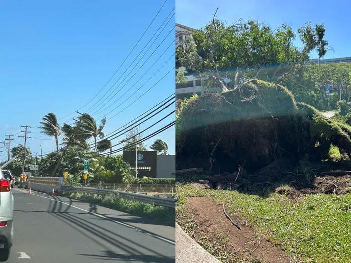 已致80人死亡！滨海小镇化为灰烬！