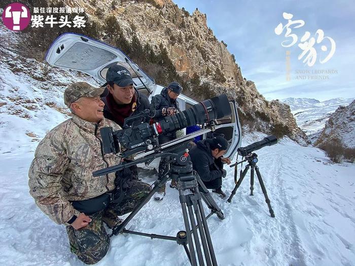 【紫牛头条】世界上第一部雪豹大电影，是摄影师和他的牧民朋友们花6年拍摄而成